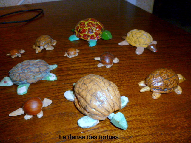 la danse des tortues